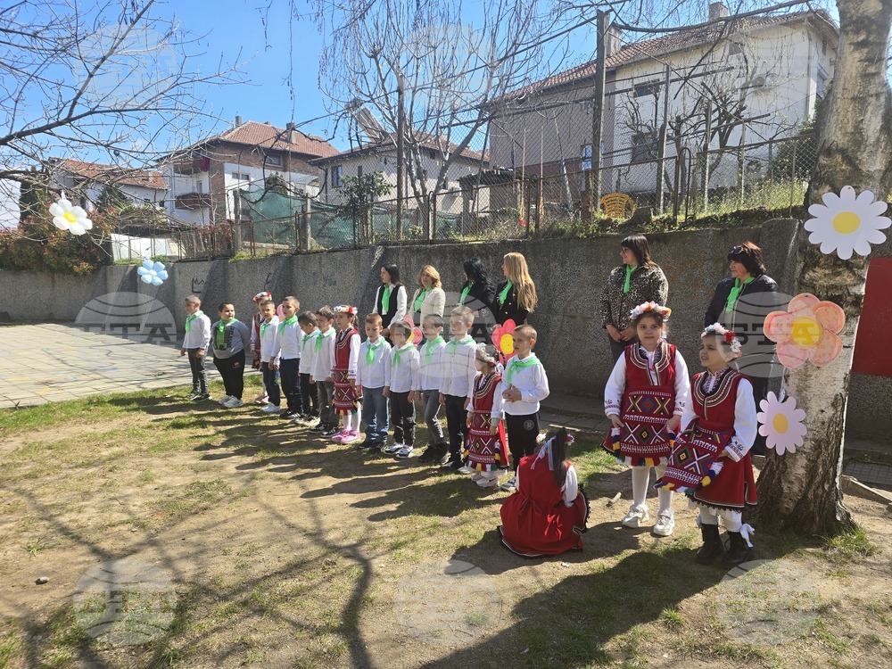 Петрич - Детска градина №3 "Детелина" - проект - начало