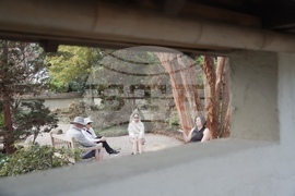 CORRECTION US Forest Bathing