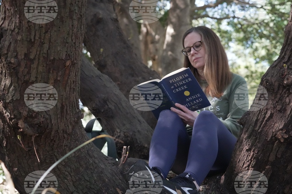 CORRECTION US Forest Bathing