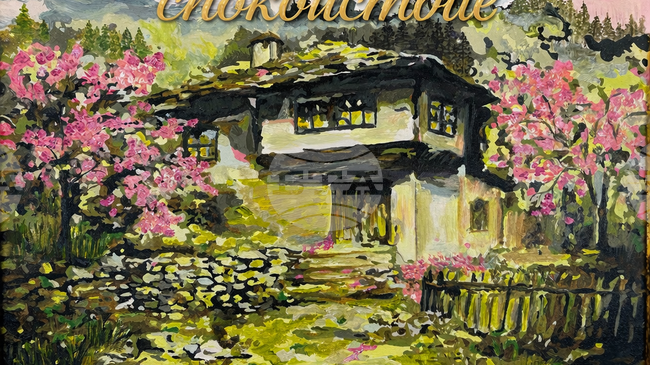 Историческият музей в Дряново открива изложба живопис на Петранка Новосад