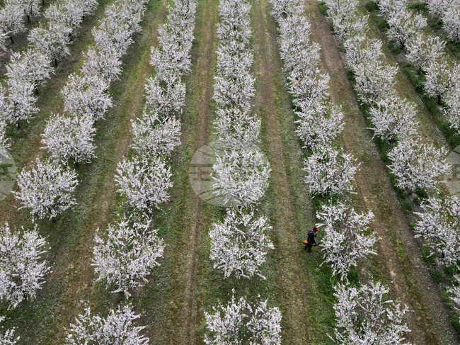 APTOPIX Greece Daily Life