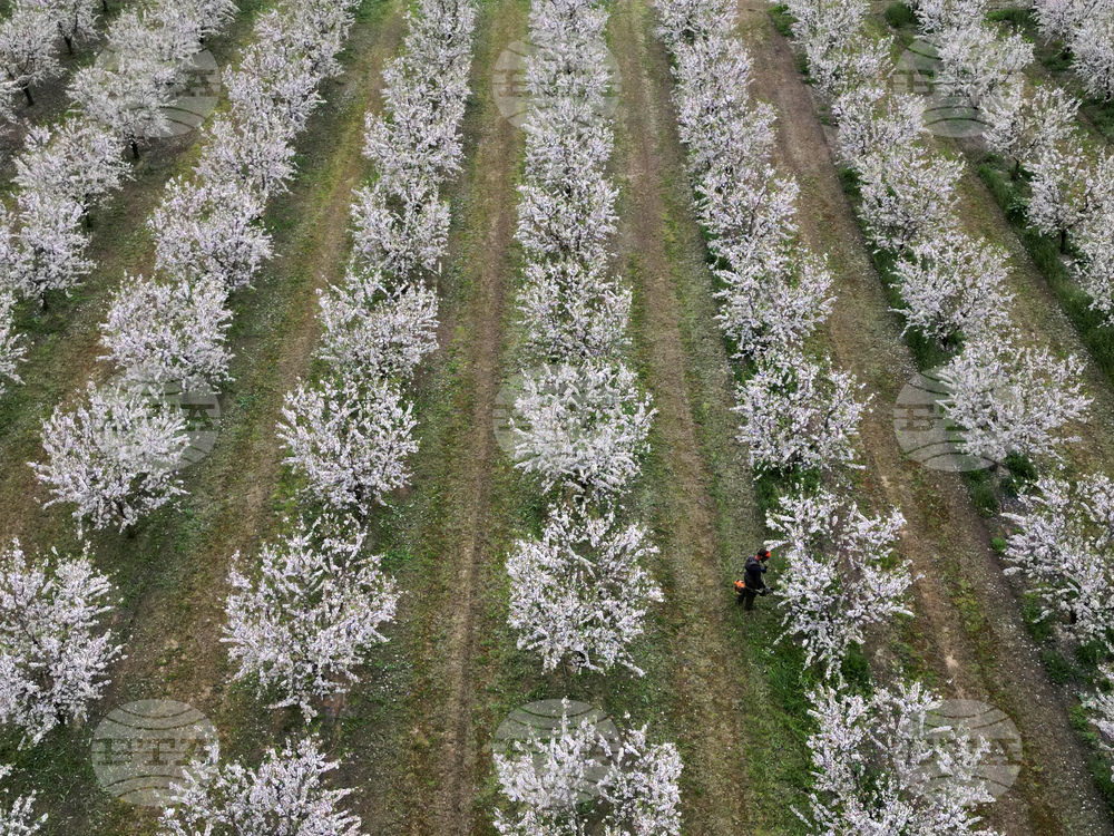 APTOPIX Greece Daily Life