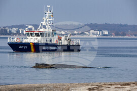 Germany Whale Rescue