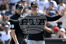 ABS-Ejections Baseball