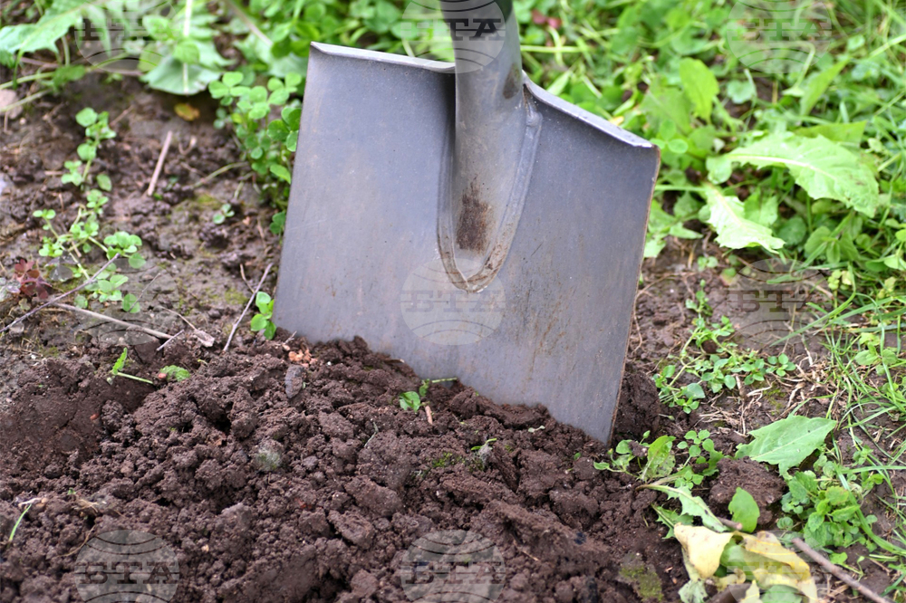 Gardening-Soil Health