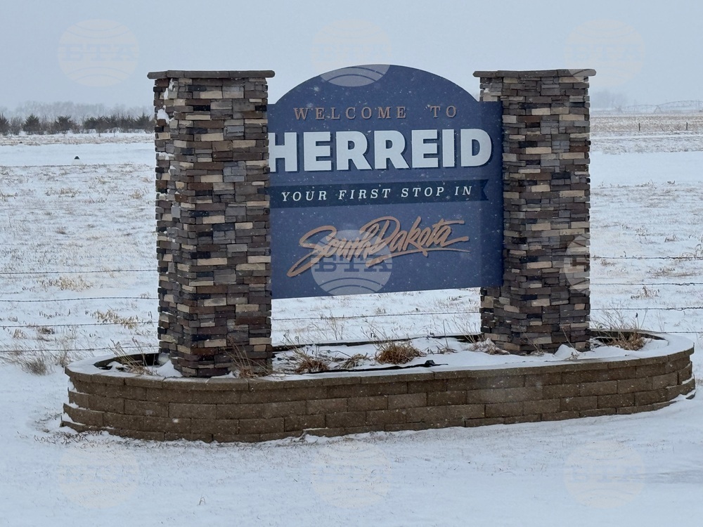 New Housing Economic Growth