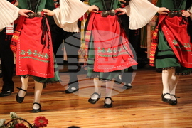 Добрич - ансамбъл „Добруджа“ - концерт