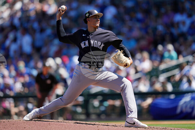 Yankees Cubs Spring Baseball