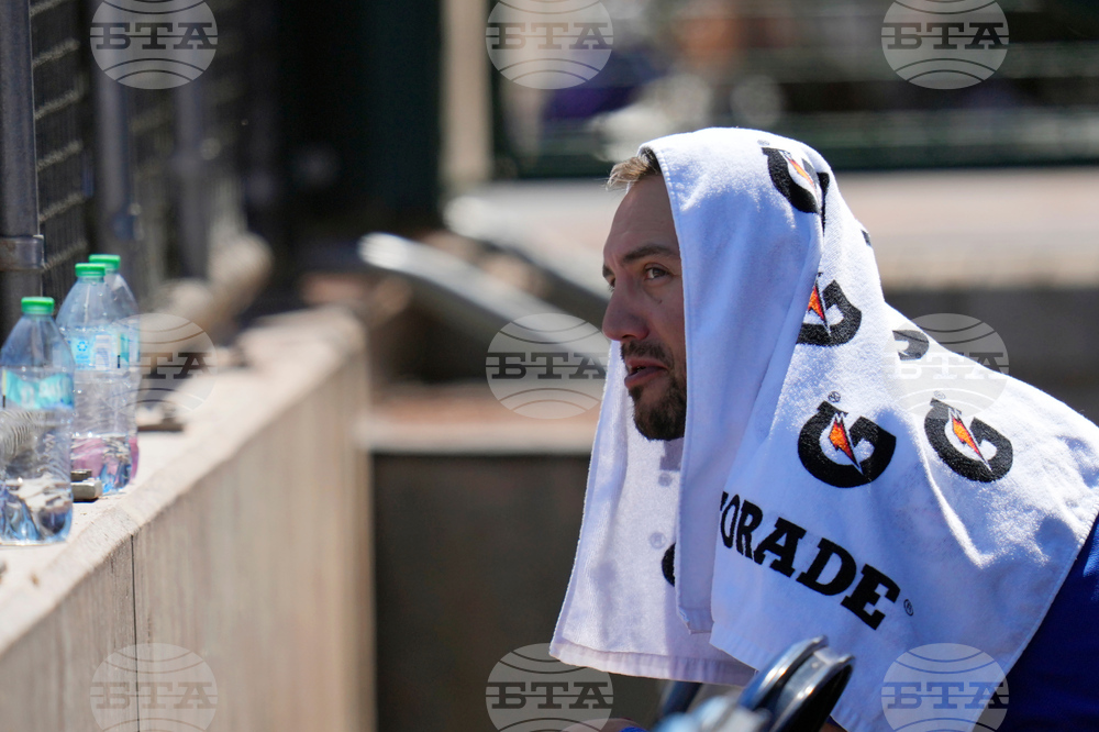 Yankees Cubs Spring Baseball