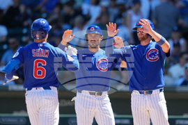 Yankees Cubs Spring Baseball