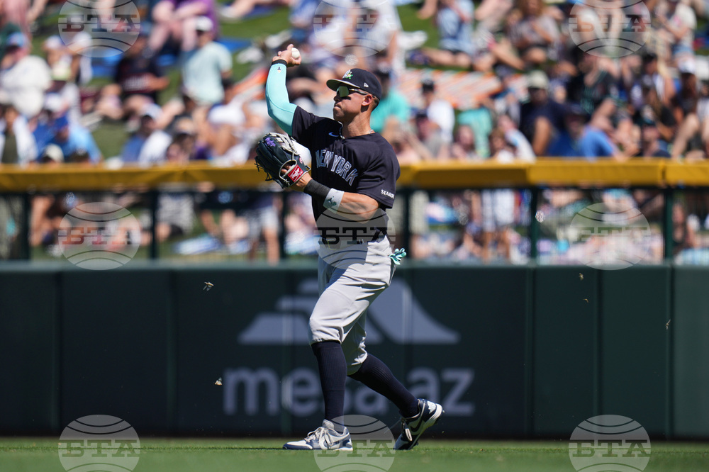 Yankees Cubs Spring Baseball