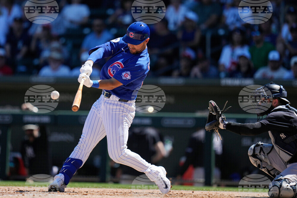 Yankees Cubs Spring Baseball