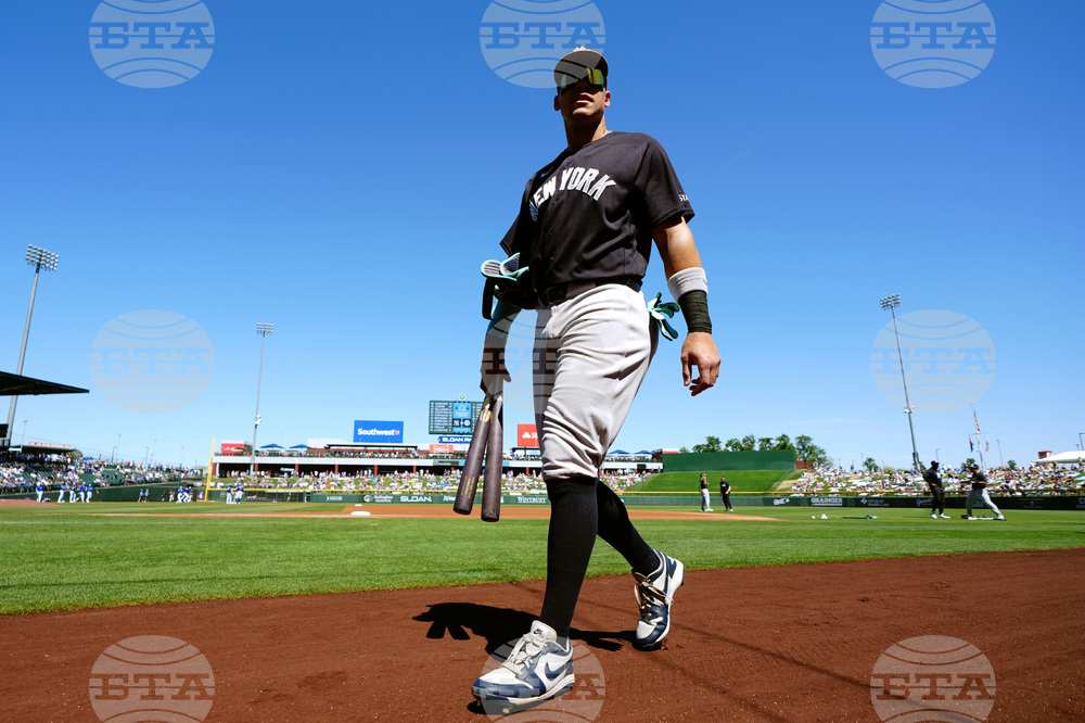 Yankees Cubs Spring Baseball