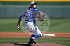 Yankees Cubs Spring Baseball