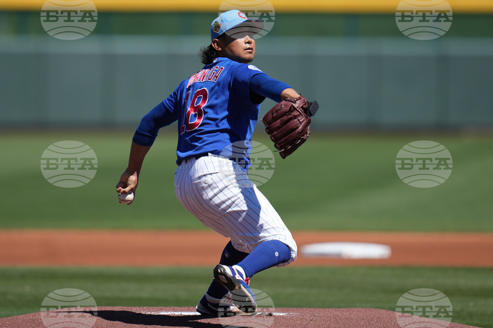 Yankees Cubs Spring Baseball