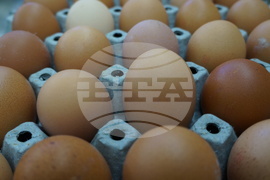 Бачковски манастир - Велики четвъртък - яйца