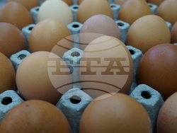 Бачковски манастир - Велики четвъртък - яйца