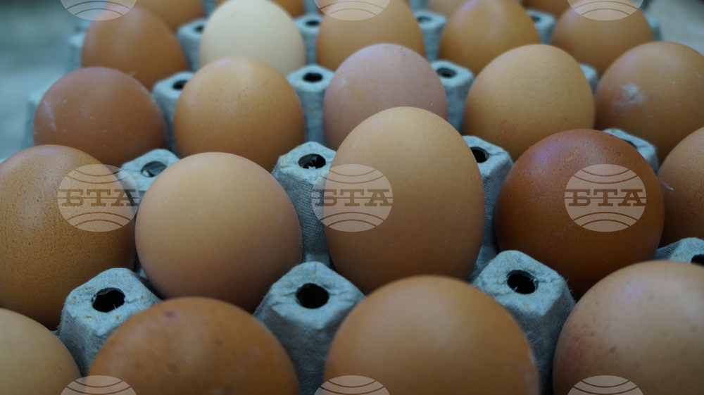 Бачковски манастир - Велики четвъртък - яйца