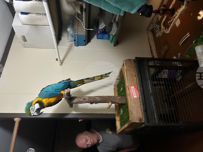 Hawaii Floods What to Know