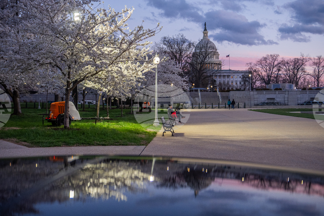 Washington Daily Life