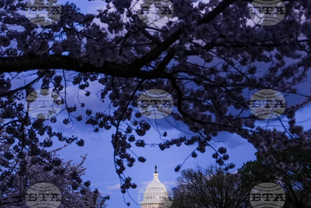 Washington Daily Life
