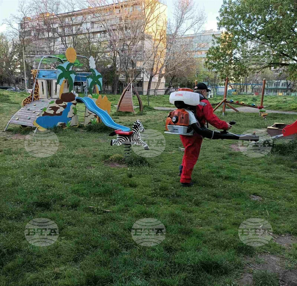 Община Видин: Първа обработка срещу кърлежи