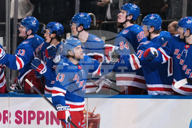 Senators Rangers Hockey