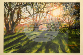 Варна - Галерия „Графит" - изложба