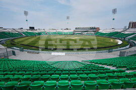 Pakistan PSL Cricket