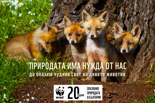 Община Свищов се включва отново в глобалната инициатива за опазване на околната среда „Часът на Земята“ 