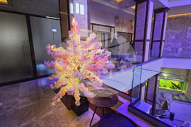 Сливен - хотел „Национал Палас“