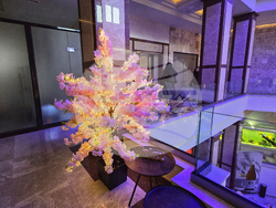 Сливен - хотел „Национал Палас“