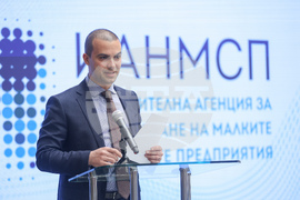 Изпълнителна агенция за насърчаване на малките и средните предприятия - проект  - Бойко Таков