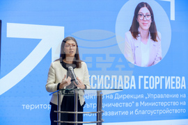 Изпълнителна агенция за насърчаване на малките и средните предприятия - проект  - Десислава Георгиева