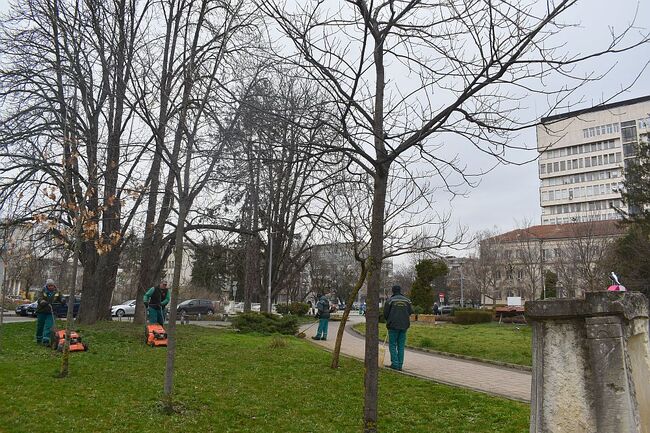 Община Разград: Започна косенето на зелените площи в Разград 