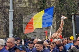 Румъния - Букурещ - миньори - протест
