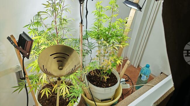 При акция срещу купуването на гласове в Монтана е открита наркооранжения