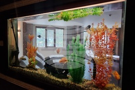 Стара Загора -  курортно селище Старозагорски бани - СПА хотел „Калиста“