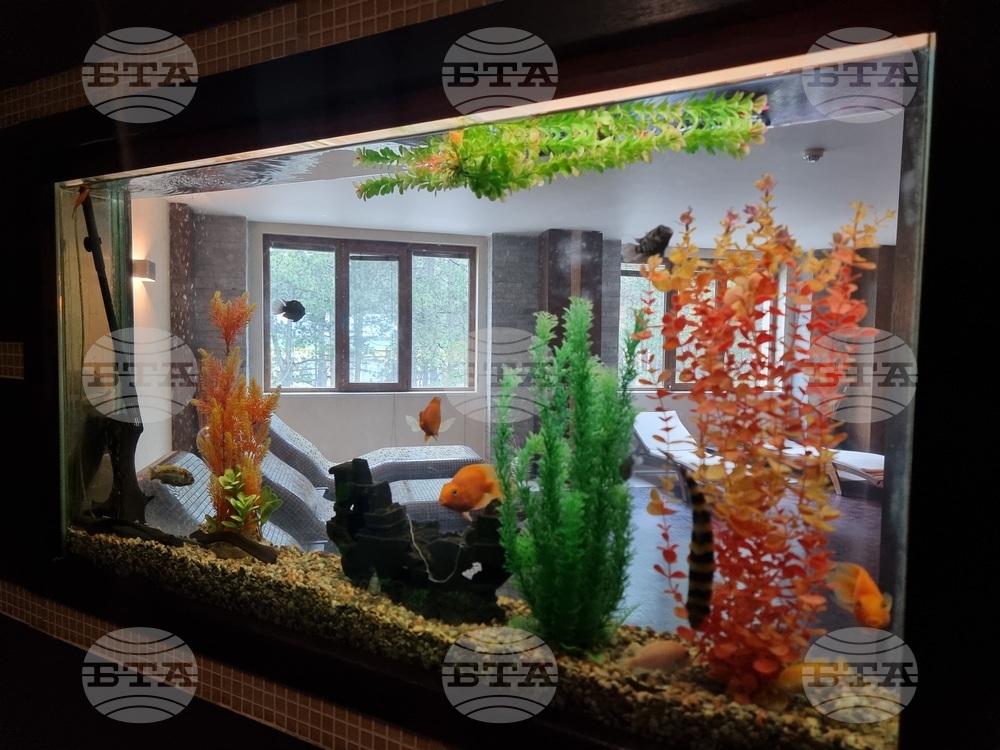 Стара Загора -  курортно селище Старозагорски бани - СПА хотел „Калиста“