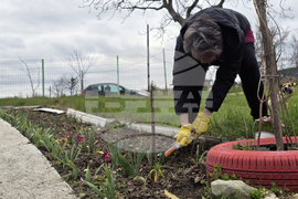 Село Опълченско - църква „Св. Пророк Илия“ - почистване