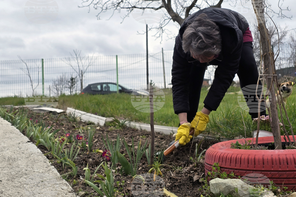 Село Опълченско - църква „Св. Пророк Илия“ - почистване