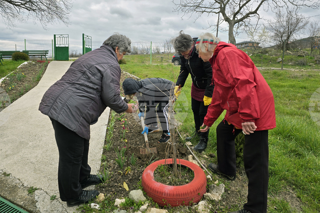 Село Опълченско - църква „Св. Пророк Илия“ - почистване