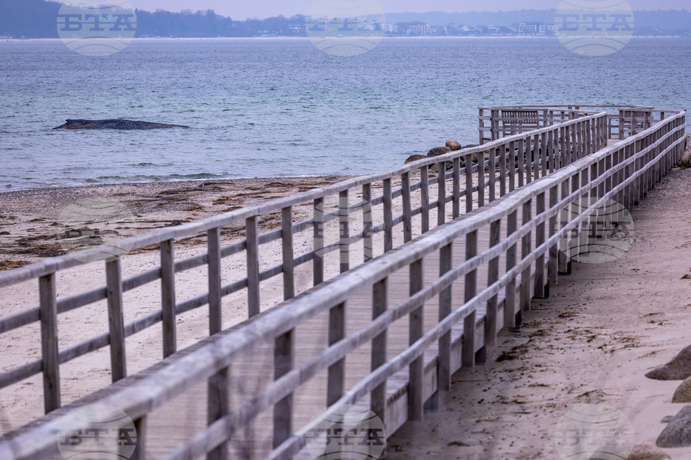 Germany Whale Rescue
