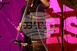 Пловдив - Plovdiv Jazz Fest - трио - концерт
