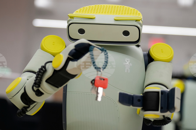 Amazon Fauna Humanoid Robot