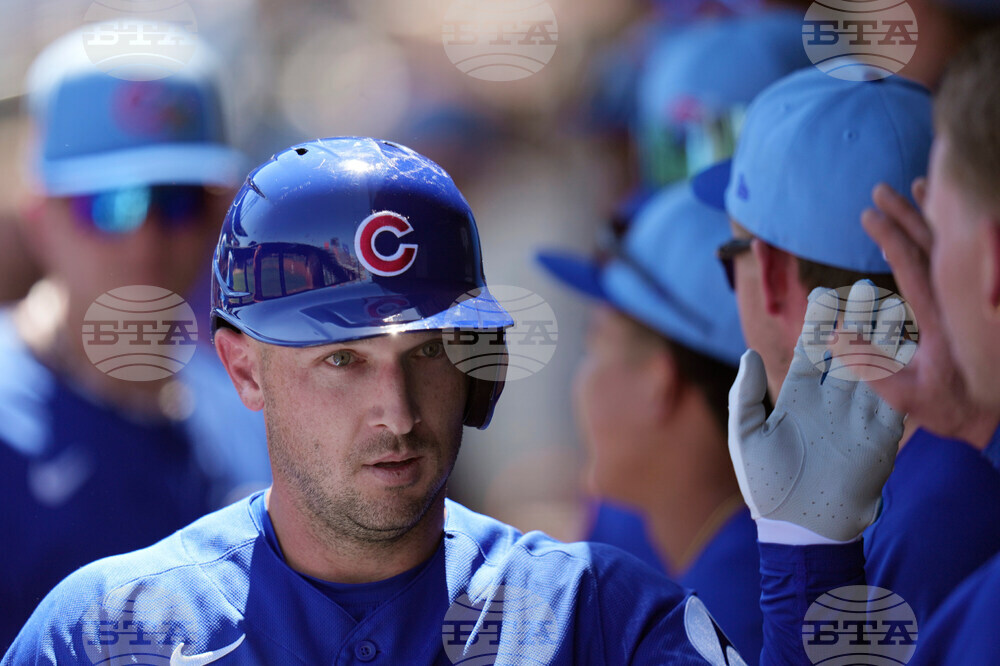 Yankees Cubs Spring Baseball