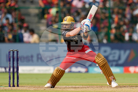 IPL Royal Challengers Cricket