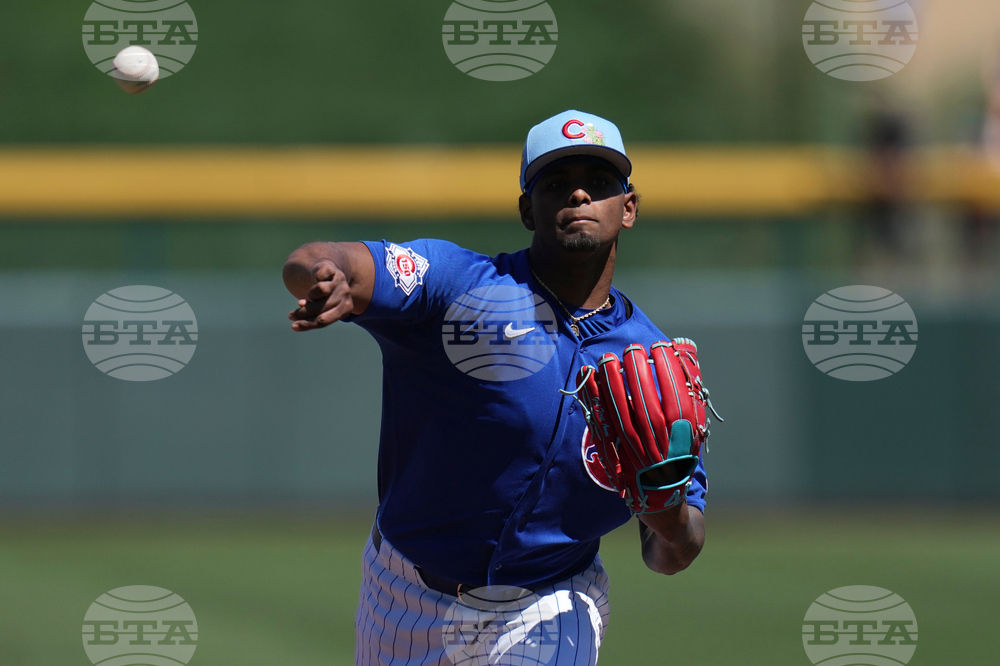 Yankees Cubs Spring Baseball