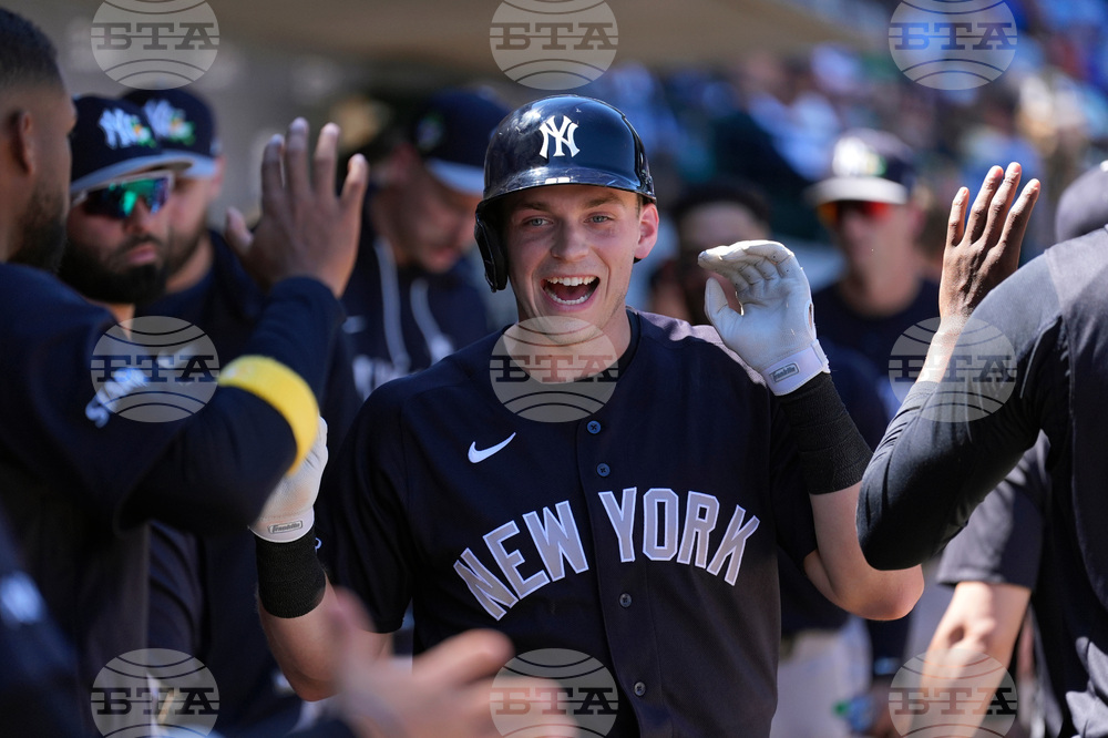 Yankees Cubs Spring Baseball