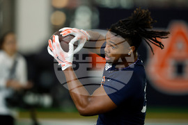 Auburn Pro Day Football